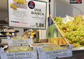 Gigante e Banco Alimentare aiutano le famiglie bisognose con il progetto dell’uva ‘benefica’