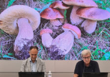 Milano, primo “Festival del Fungo e del Tartufo Lombardo” in piazza Lombardia