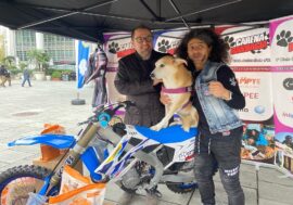 Il lungo viaggio di Giacomo Lucchetti: da Palazzo Lombardia in moto in Puglia con ‘Carena randagia’ per aiutare gli animali