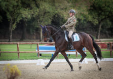 Dressage, negli impianti sportivi del Centro Militare di Equitazione di Montelibretti oltre 230 atleti da tutto il mondo in gara nelle varie categorie