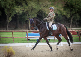 Dressage, negli impianti sportivi del Centro Militare di Equitazione di Montelibretti oltre 230 atleti da tutto il mondo in gara nelle varie categorie