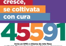 Cambiare la storia del tumore al pancreas è possibile: per la Ricerca il numero solidale è 45591