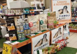 Osservatorio ‘Il Gigante’: aumenta del 20% l’acquisto di prodotti per la cura degli animali da compagnia