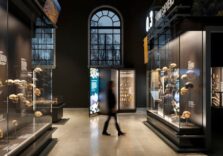 Milano, al Museo di storia naturale apre la nuova sala sull’evoluzione umana