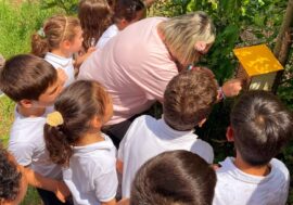 Milano, l’Istituto Comprensivo Luigi Cadorna promuove l’educazione ambientale con il programma “3Bee: a scuola di biodiversità”