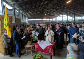 Per la festa di Sant’Antonio mons. Mario Delpini benedice gli animali delle fattorie milanesi e lodigiane