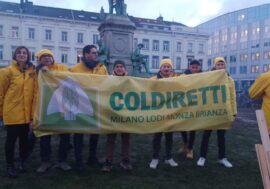 Coldiretti, anche gli agricoltori lombardi in piazza a Bruxelles: a rischio oltre 14 miliardi di produzioni agroalimentari