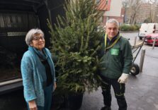 Milano, ripiantati nel giardino delle case popolari gli abeti di Natale