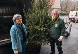 Milano, ripiantati nel giardino delle case popolari gli abeti di Natale