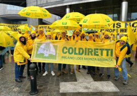 Anche gli agricoltori lombardi a Bruxelles per dire stop a burocrazia e chiedere misure urgenti per reddito imprese