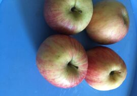 Nei punti vendita al Dettaglio Ortofrutticoli Specializzati del Milanese omaggio di una mela per i consumatori
