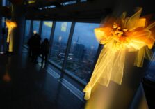 Nuovamente ‘sold out’ le visite al Belvedere di Palazzo Lombardia per l Giornata Internazionale della Donna