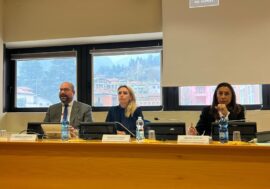 Lecco, presentato bando per “l’Avviso Unico della Cultura 2024”