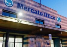 Milano, il mercato del pesce aperto a tutti ogni sabato dalle 9 alle 12