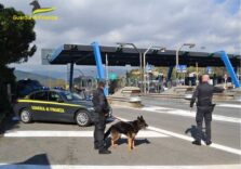 Arrestati dalla Guardia di Finanza di Savona due spacciatori e sequestrato droga e contanti