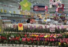 Festa della Mamma, record di prenotazioni nel Milanese di dolci a tema (+25%) e fiori e piante (+15%)