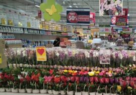 Festa della Mamma, record di prenotazioni nel Milanese di dolci a tema (+25%) e fiori e piante (+15%)