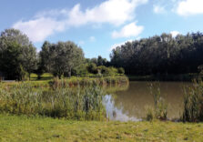 Parco Nord Milano, via libera all’ampliamento