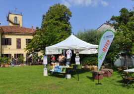 BioBlitz 2024, torna la grande maratona naturalistica lombarda della Valle del Lambro con tante iniziative