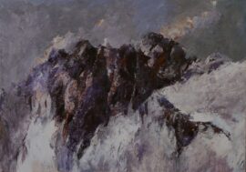 Milano, al Museo di Storia Naturale aperta la mostra “Il significato dell’immagine” di Sandra Tenconi