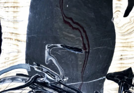 Milano, all’archivio comunale la mostra “Bianca Lusso in Cittadella” per ammirare le bici usate dai messi comunali
