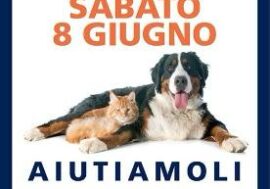 Animali domestici, ‘Balzoo’ e Il Gigante insieme per la raccolta benefica di alimenti