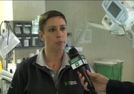 Conosciamo il “Trauma Team” dell’Ospedale Niguarda equipe di chirurghi altamente specializzati diretti da Stefania Cimbanassi