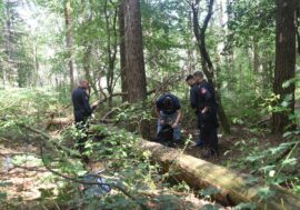 Controllo straordinario dei Carabinieri del Comando Provinciale di Milano al Parco delle Groane per contrastare delinquenza e traffico di droga