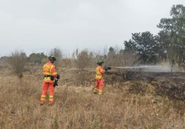 ‘Gemellaggio’ Lombardia, Sardegna e Sicilia per la lotta anticendio: inviati 156 volontari