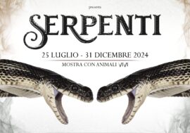 Genova, inaugurata la mostra “Serpenti” al Museo di Storia Naturale G. Doria