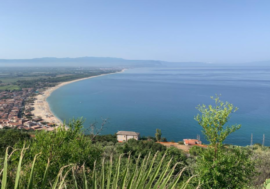I pregiati vini calabresi protagonisti della manifestazione “DiVin Nicotera” sulla Costa degli Dei