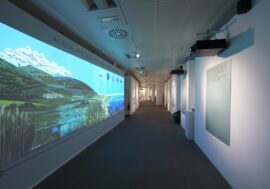 Milano, inaugurata a Palazzo Lombardia la mostra “Cum Tucte – L’Alleanza tra Uomo e Natura”