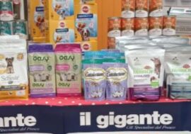 ‘Balzoo’ e ‘Il Gigante’: un successo la raccolta per cani e gatti ‘in difficoltà’