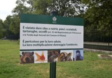 Milano, al via la campagna per sensibilizzare cittadini e turisti a non nutrire animali selvatici