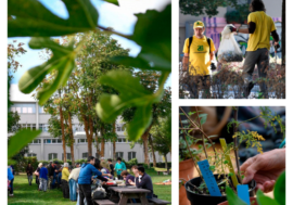 “Milano Green Week”, ritorna la manifestazione sulla transizione ecologica e ambientale