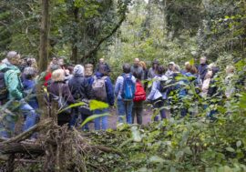 “Forestami Academy”, al Parco Nord Milano ultimo appuntamento dell’anno per promuovere i valori della forestazione