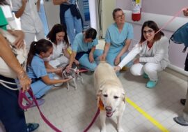 La pet therapy entra nel reparto di ginecologia oncologica dell’Ospedale Morgagni-Pieranton di Forlì