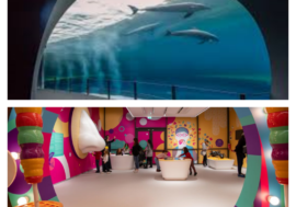 Acquario di Genova e Città dei Bambini e dei Ragazzi: perfetto connubio tra educazione e intrattenimento