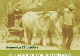 Milano, “Campagna Amica” arriva al quartiere Isola con le eccellenze agroalimentari del territorio