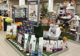 Raccolta di cibo per animali: Balzoo e Il Gigante in prima linea per aiutare le famiglie in difficoltà