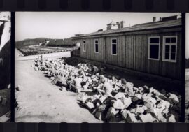 Milano, inaugurata alla Casa della Memoria la mostra “La storia dietro le immagini. Foto dal campo di Mauthausen”