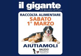 Animali domestici, una raccolta solidale organizzata da ‘Il Gigante’ e ‘Balzoo’