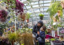 Milano, a Villa Necchi Campiglio arriva “Soffio di Primavera” mostra di piante e fiori da giardino