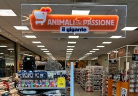 Isola d’Asti, Il Gigante apre un nuovo pet store: è l’ottavo della catena “Animali che passione”