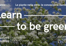 Torna Forestami Academy, il progetto che sensibilizza i cittadini sul ruolo della natura in città