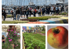 Euroflora: antiche produzioni da riscoprire nella grande floralie di Genova