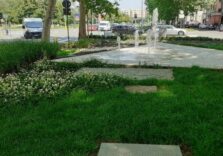 Milano, con il progetto “Cura e adotta il verde” ‘adottati’ oltre 268mila mq