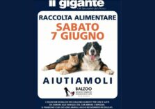 A Il Gigante torna la raccolta per gli animali in difficoltà