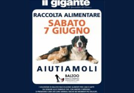 A Il Gigante torna la raccolta per gli animali in difficoltà