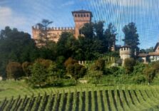 Le vigne di Morego e Serra Riccò dentro gli anfiteatri che guardano il mare